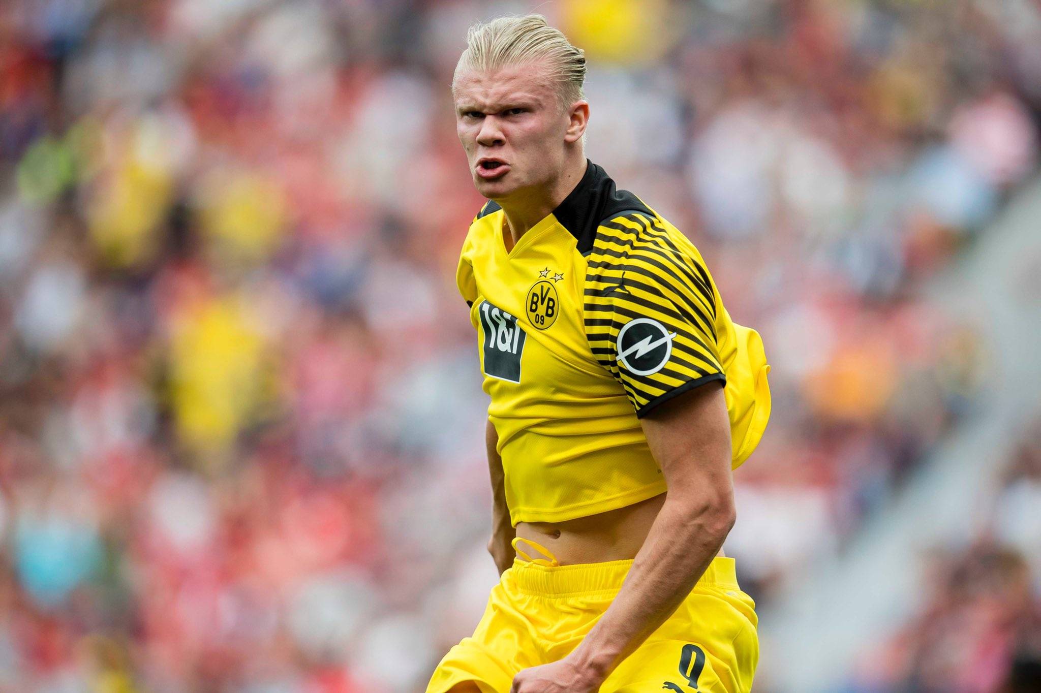 反而把中强 反而把中强